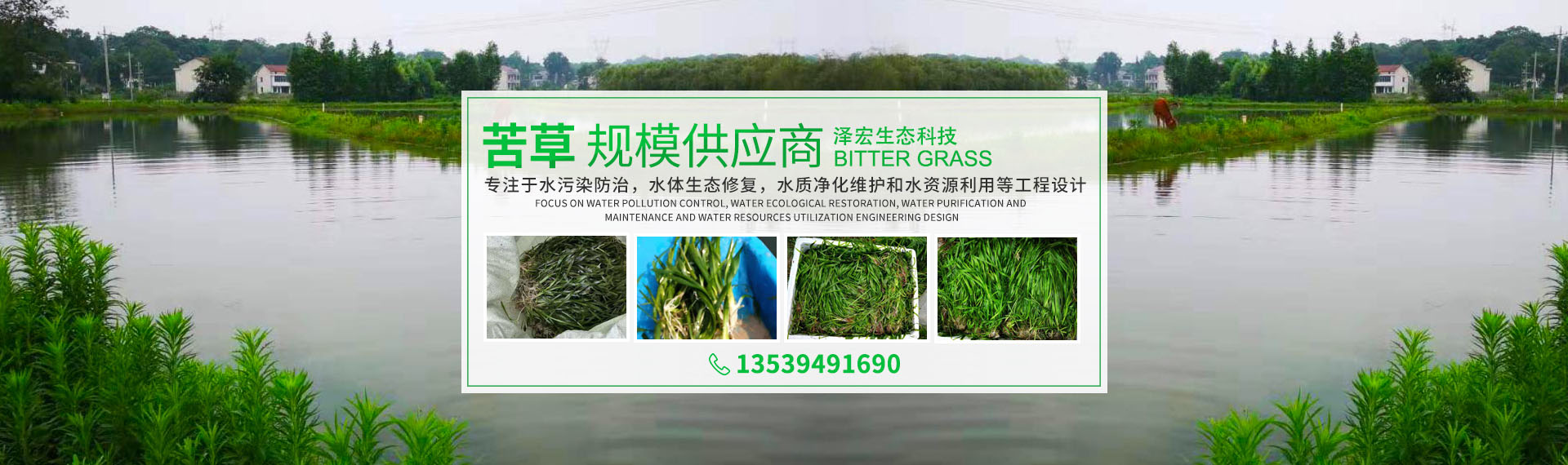 湖南澤宏生態科技有限公司_長沙水環境流域生態治理|長沙水污染防治|長沙水體生態修復 湖南澤宏生態科技有限公司_長沙水環境流域生態治理|長沙水污染防治|長沙水體生態修復